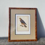 Wooden bird frame