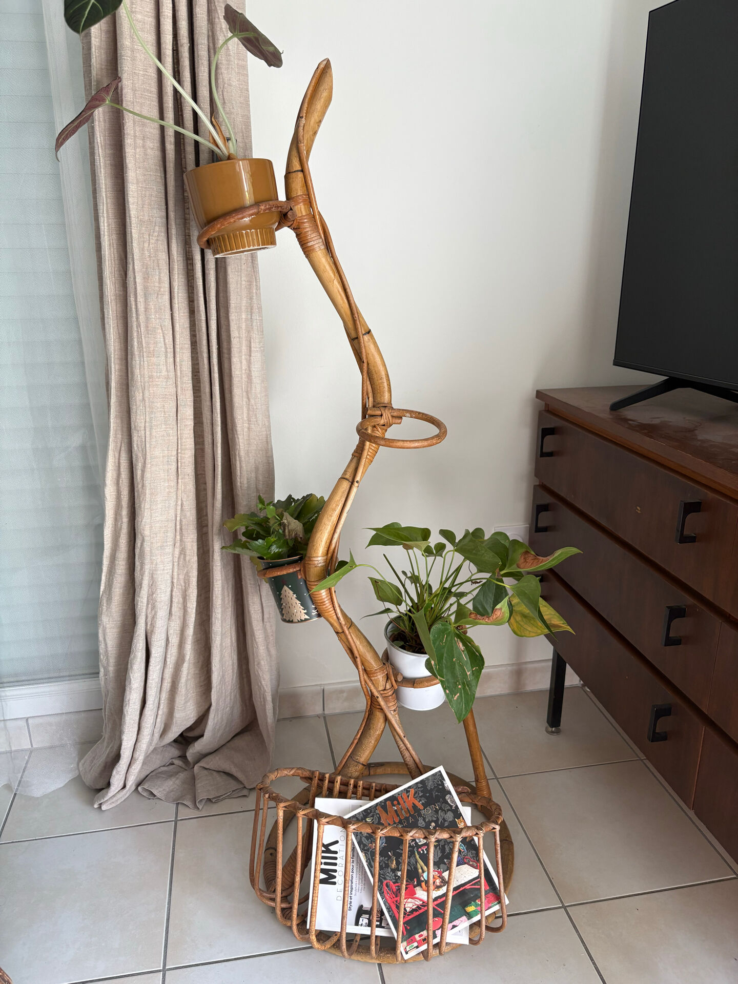 Plant stand and rattan magazine holder