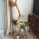 Plant stand and rattan magazine holder