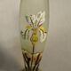 Pair of glass vases with iris enamelled decor