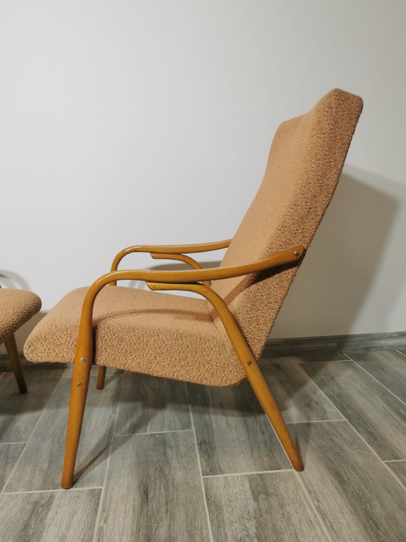 Lounge chairs by Antonin Suman