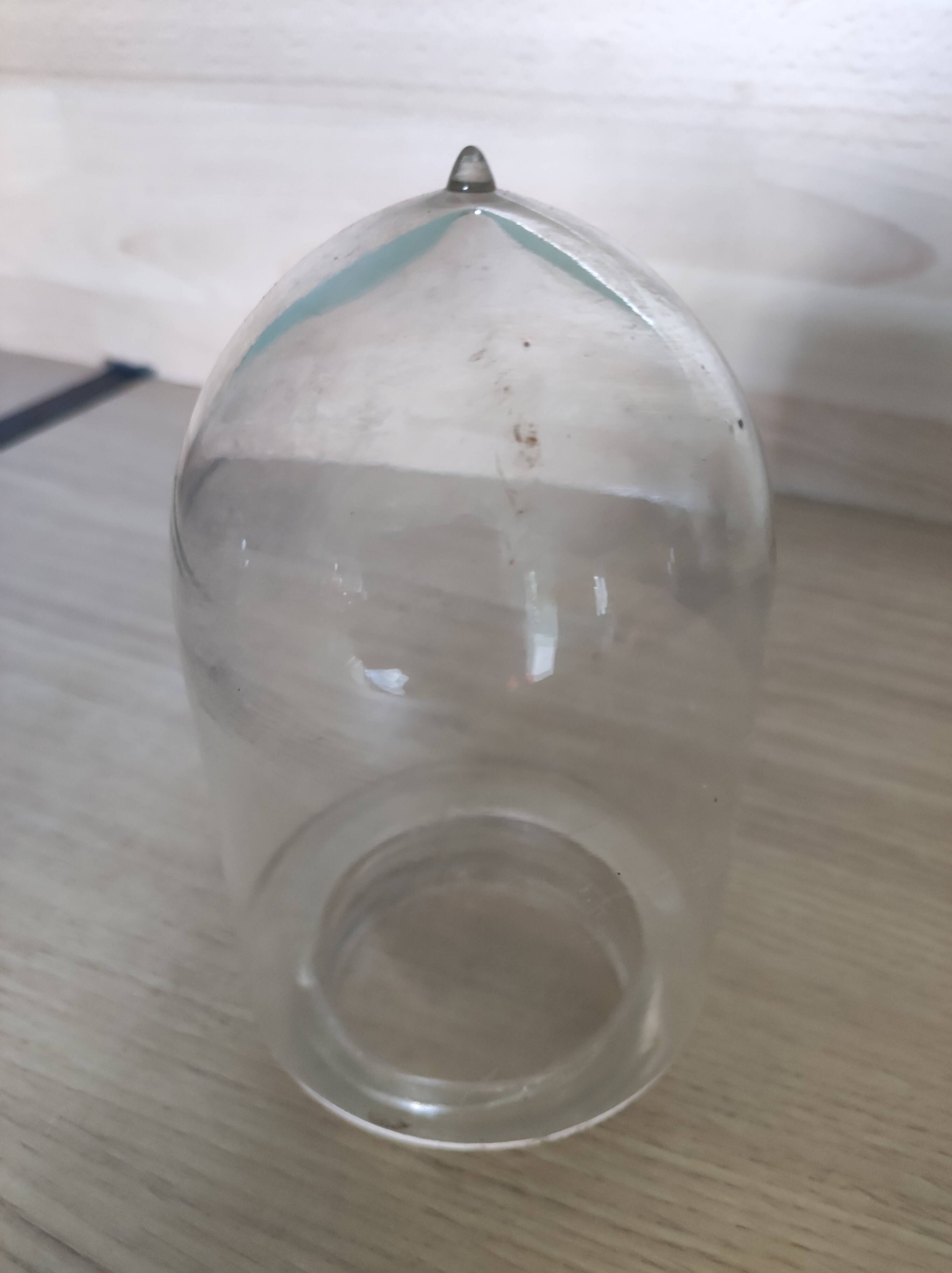 Globe glass shell with nipple lamp gooseneck farmyard