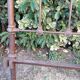 Napoleon III headboard in iron and brass L127xH139
