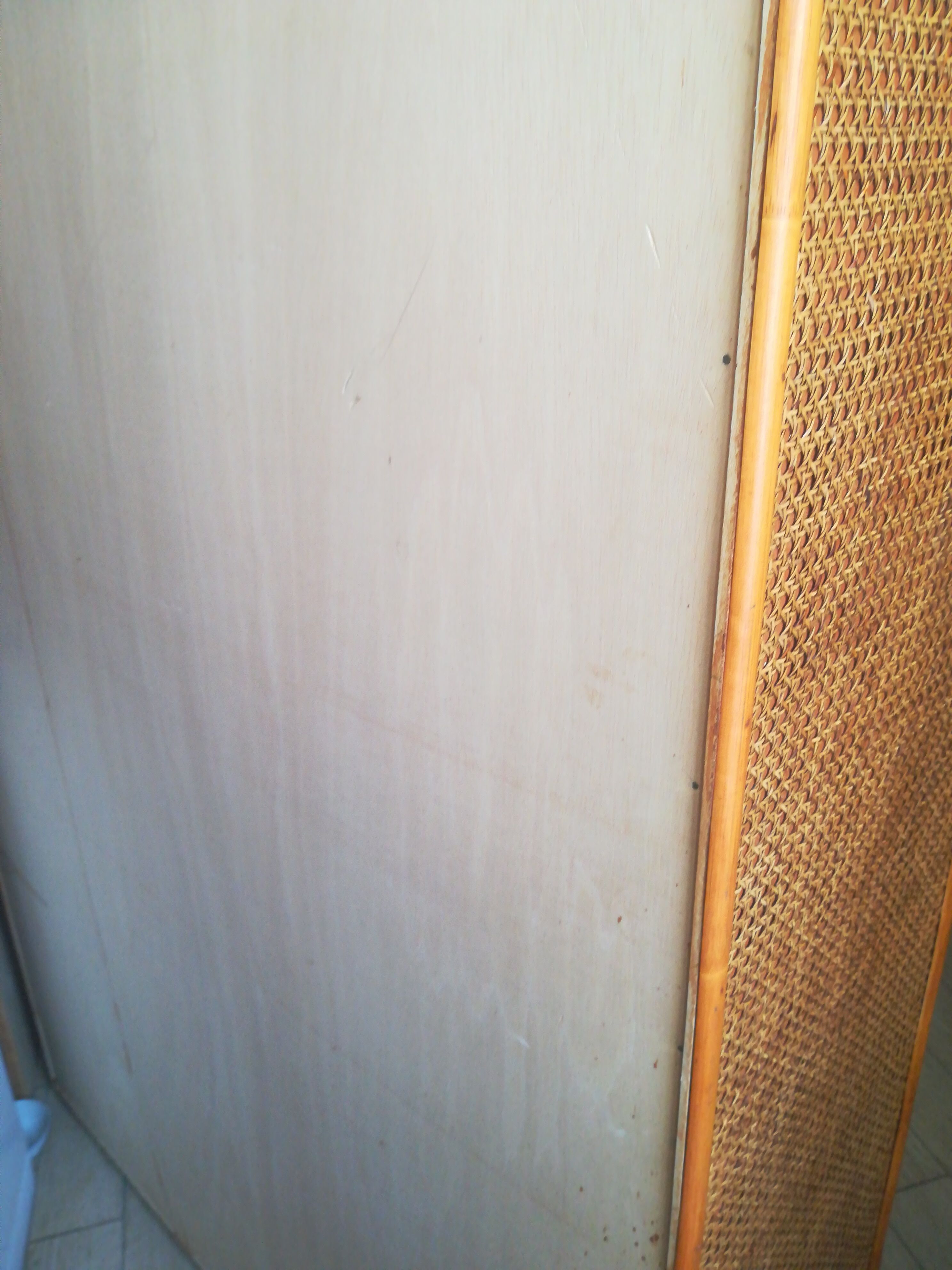 Wardrobe in rattan, caning and velvet
