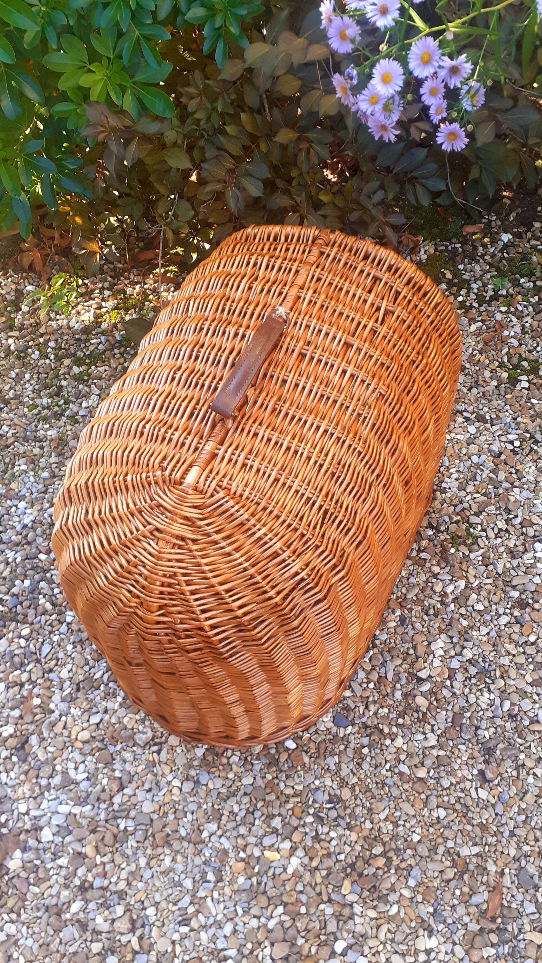 Vintage dog house year 50 in rattan