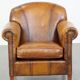 Cowhide Leather Armchair with Deep Warm Colors