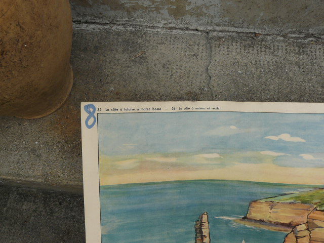 Affiche scolaire Rossignol La côte à rochers et récifs d' un côté / la côte à falaise à marée basse