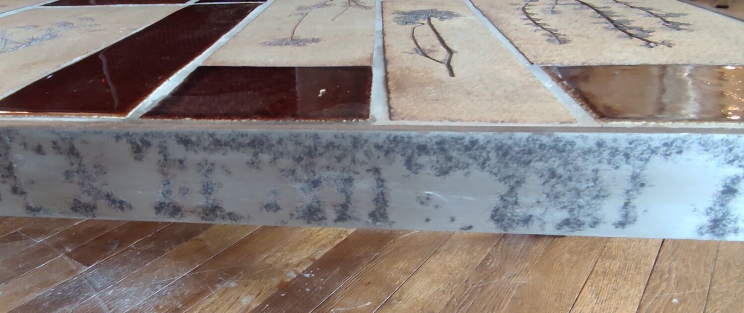 Coffee table herbarium décor Roger Capron Vallauris