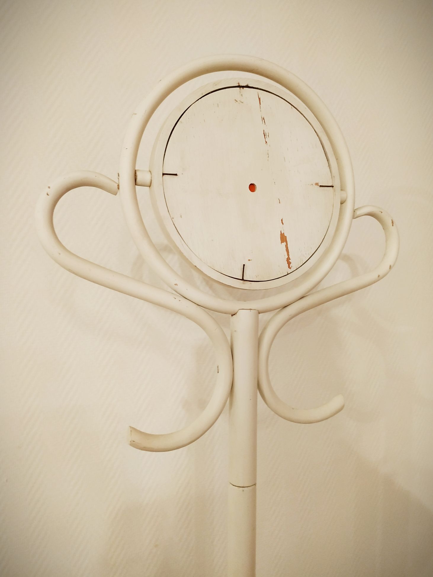 Psyche mirror parrot in curved wood