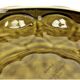 Antique oyster plate barbotine Sarreguemines