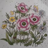 Botanical plates