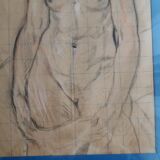 Study of a female nude in charcoal and sanguine, first half of the 20th century