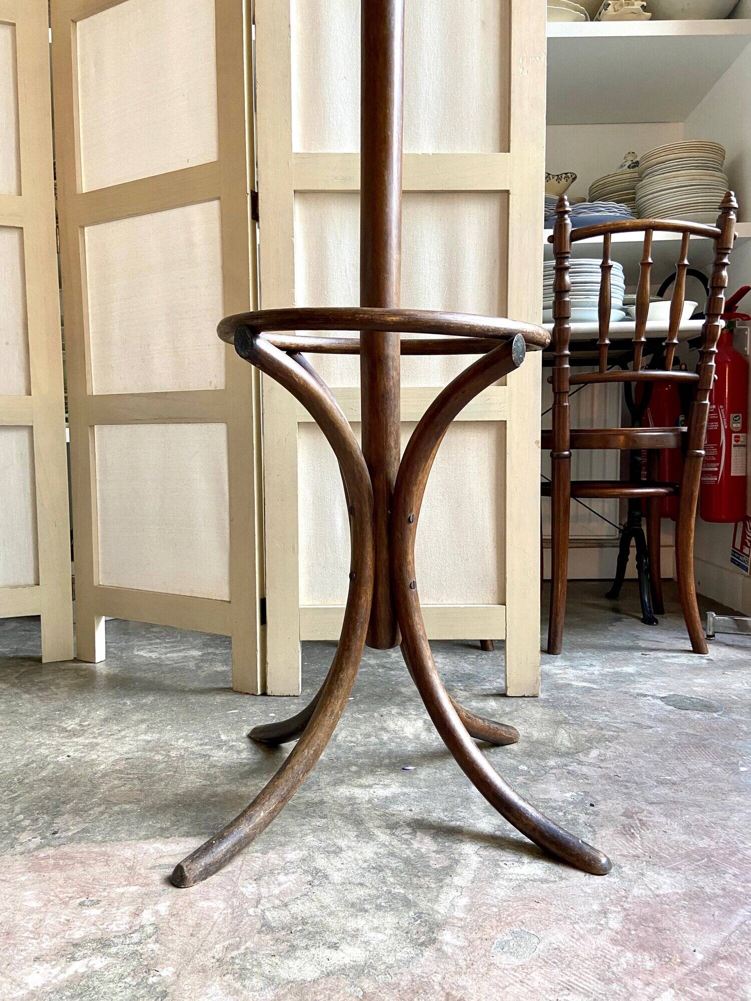 Parrot coat rack with 6 hooks in bent beech