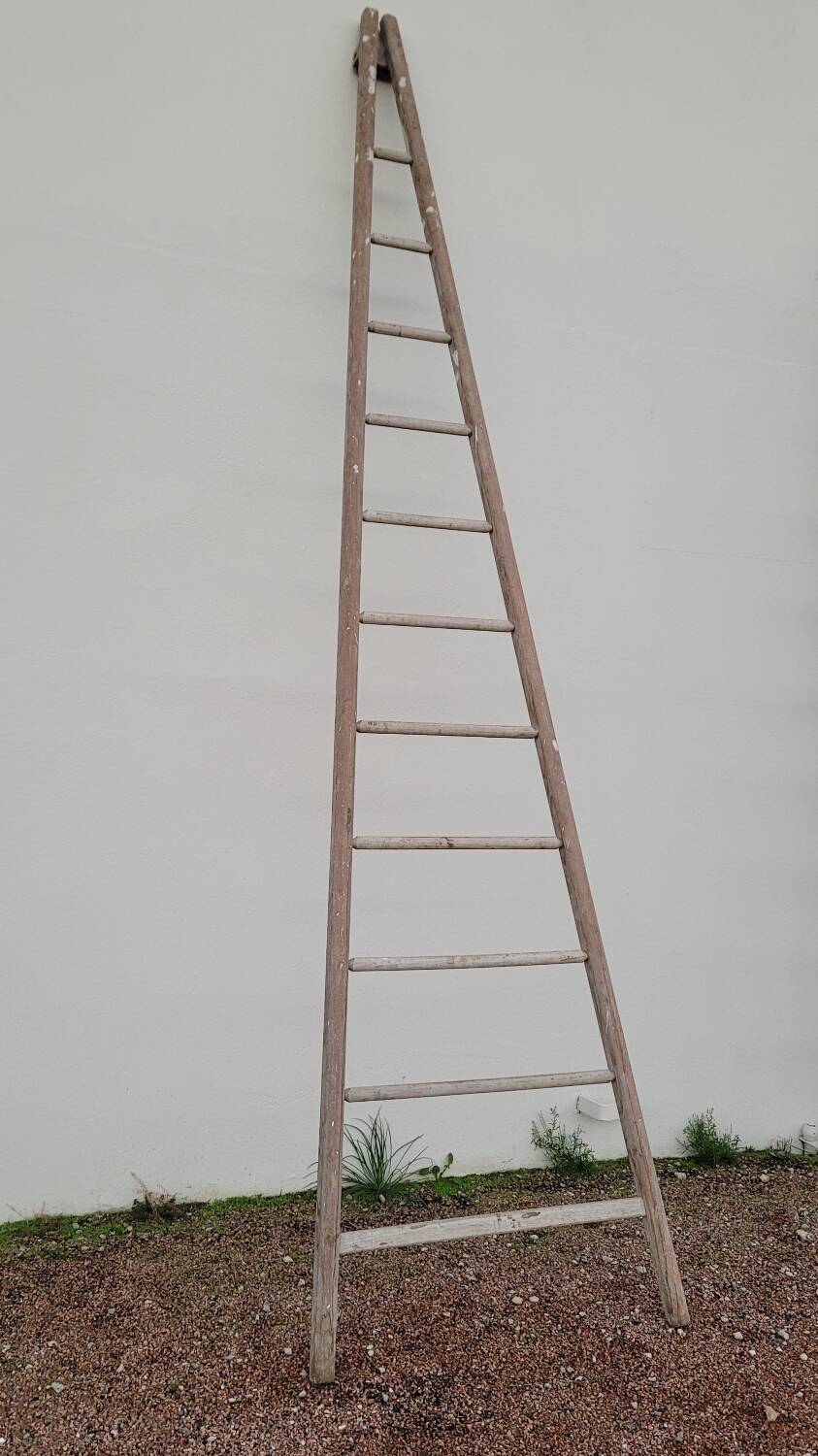 Old wooden fruit harvest market gardener's ladder - 3m65