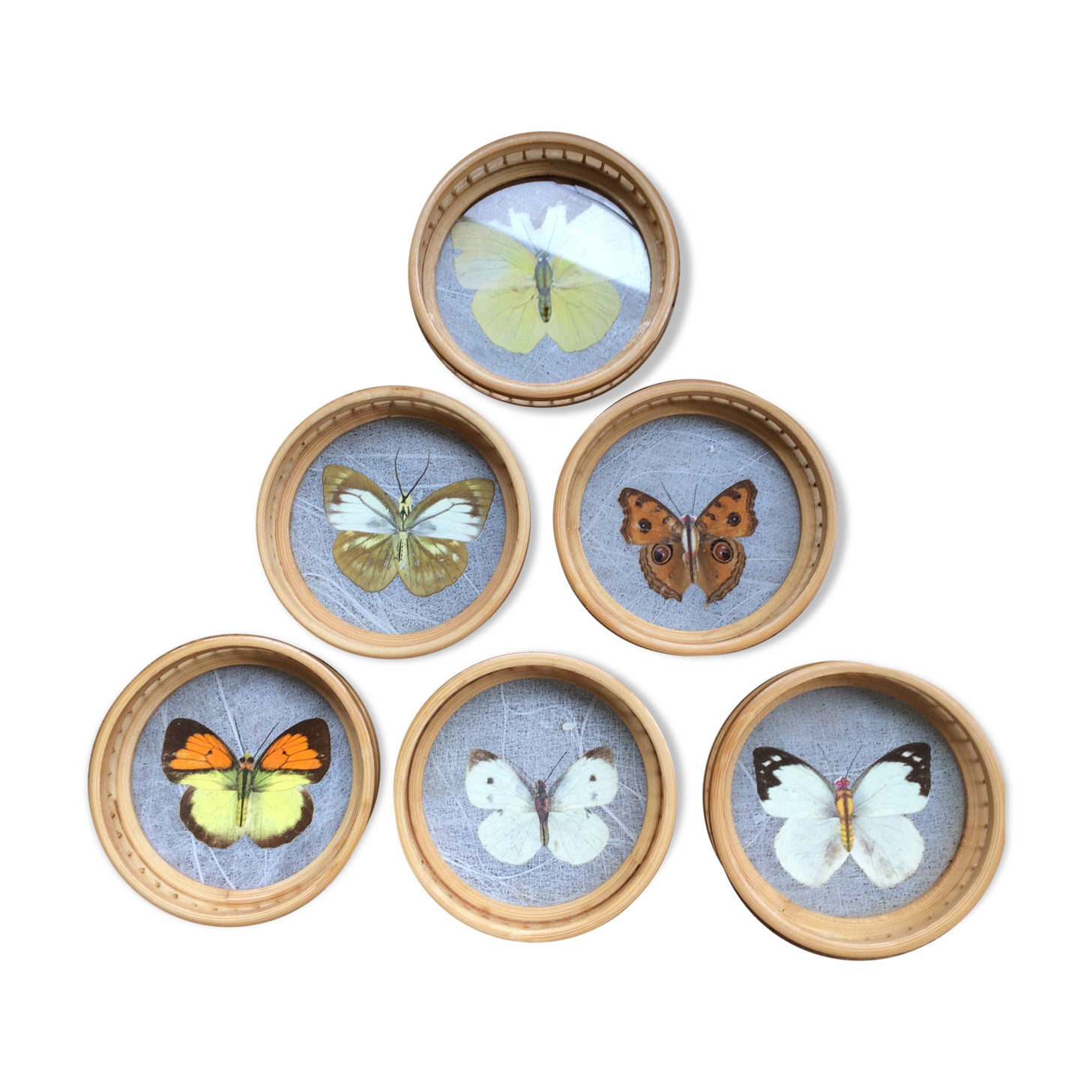 Butterflies glasses mats