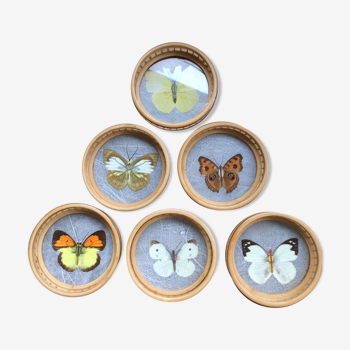 Butterflies glasses mats
