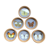 Butterflies glasses mats