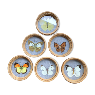 Butterflies glasses mats