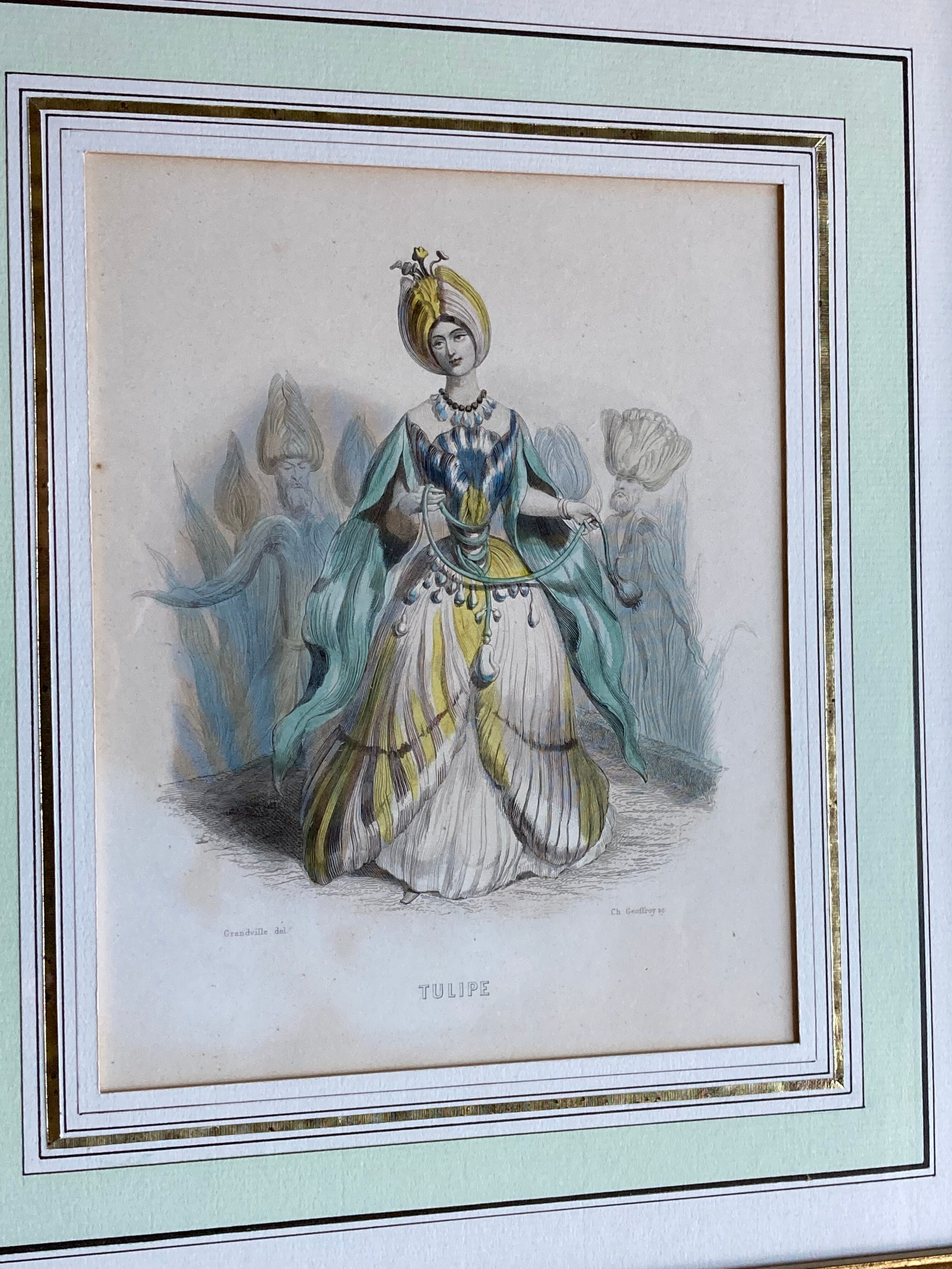 Framed engravings "animated flowers" - JJ Grandville