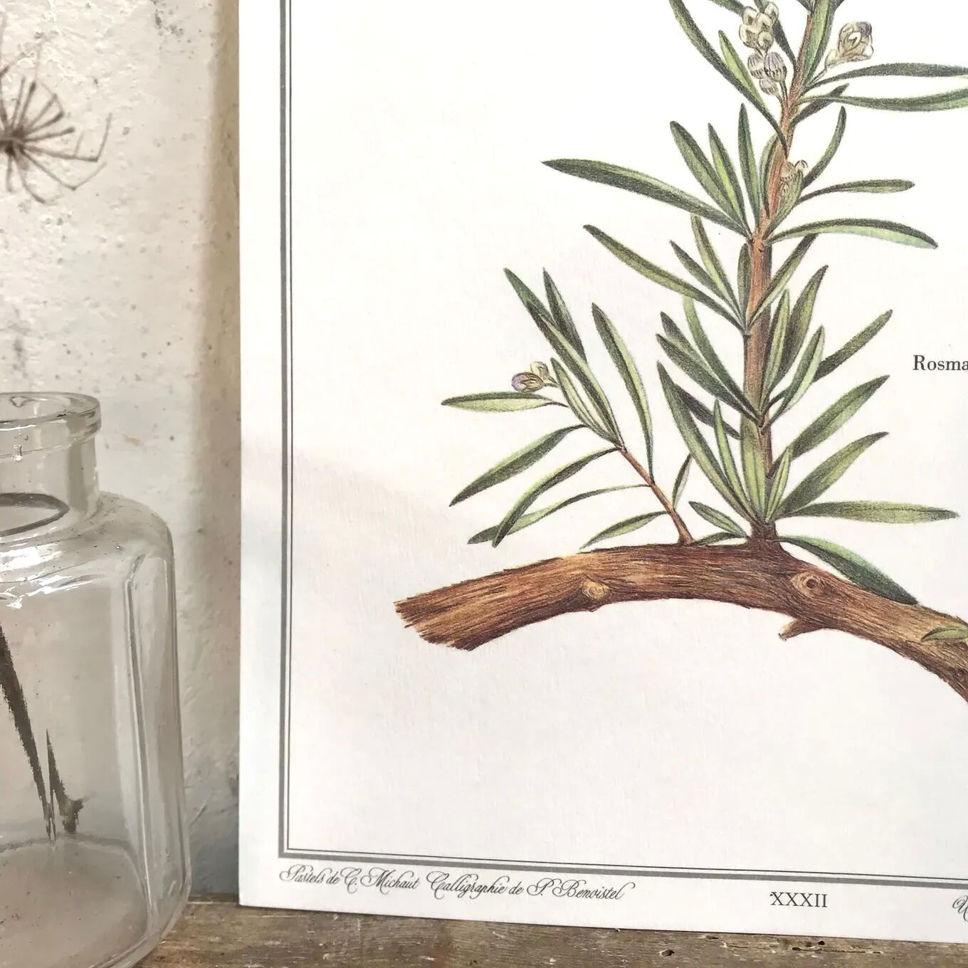 Botanical board rosemary