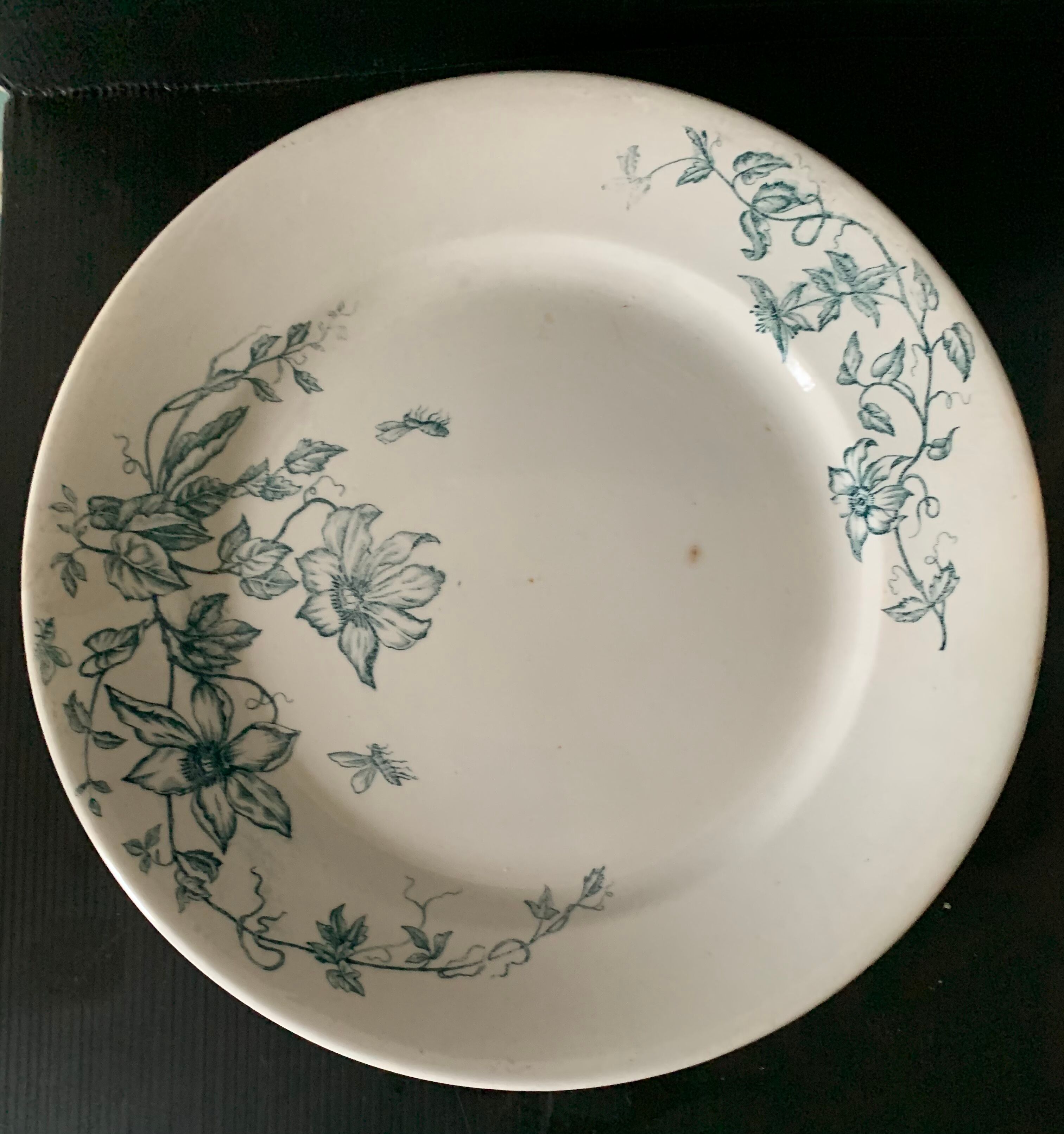 Round iron earth dish