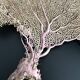 LARGE MODEL GORGON ANCIENT CORAL