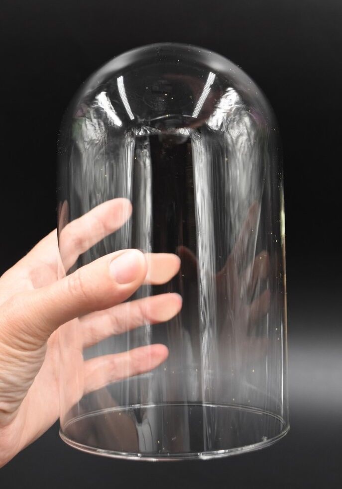 Glass bell globe for decoration cabinet of curiosity