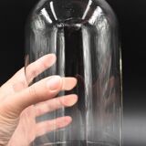 Glass bell globe for decoration cabinet of curiosity