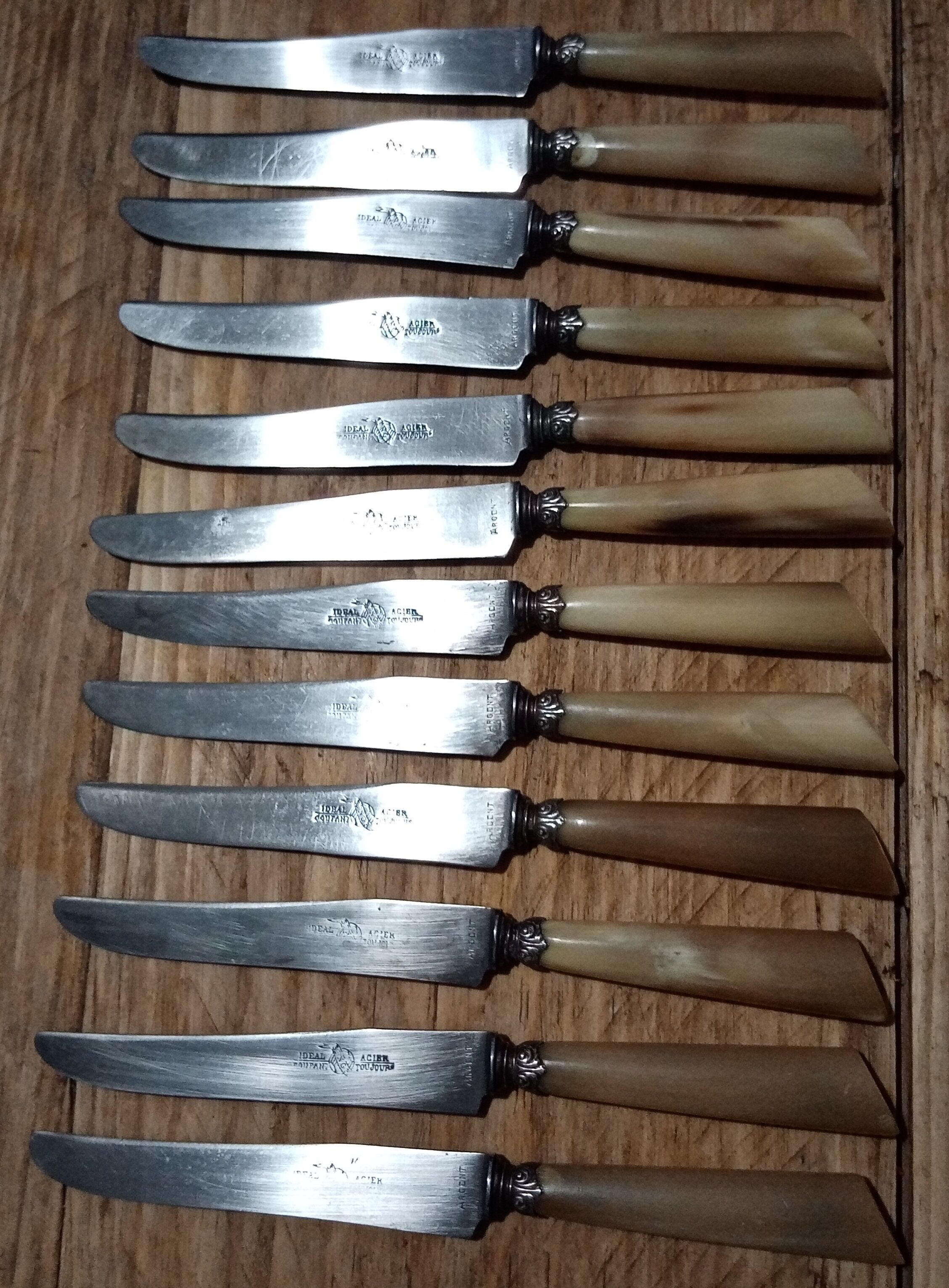 Box 12 old cheese knife 19th blade steel virole silver handle horn