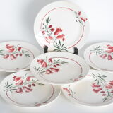 Dessert plates St Amandinoise