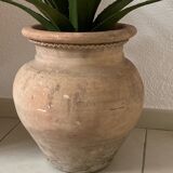 Terracotta pot
