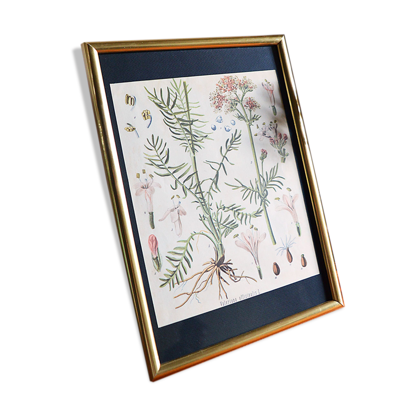 Framed pharmaceutical poster
