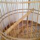 Old collection cage