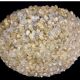 Murano gold glass ceiling light with more than 100 Barovier & Toso flowers