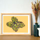 Still life - artichoke