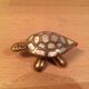 Brass and mother-of-pearl turtle jewelry box
