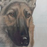 Léon DANCHIN (1887-1938) : GERMAN SHEPHERD Numbered and Signed Lithograph