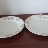 Assiettes fleurs rose