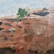 Set of 2 Oil Paintings on Canvas Marine Cliffs Signed R Faucheux 19
