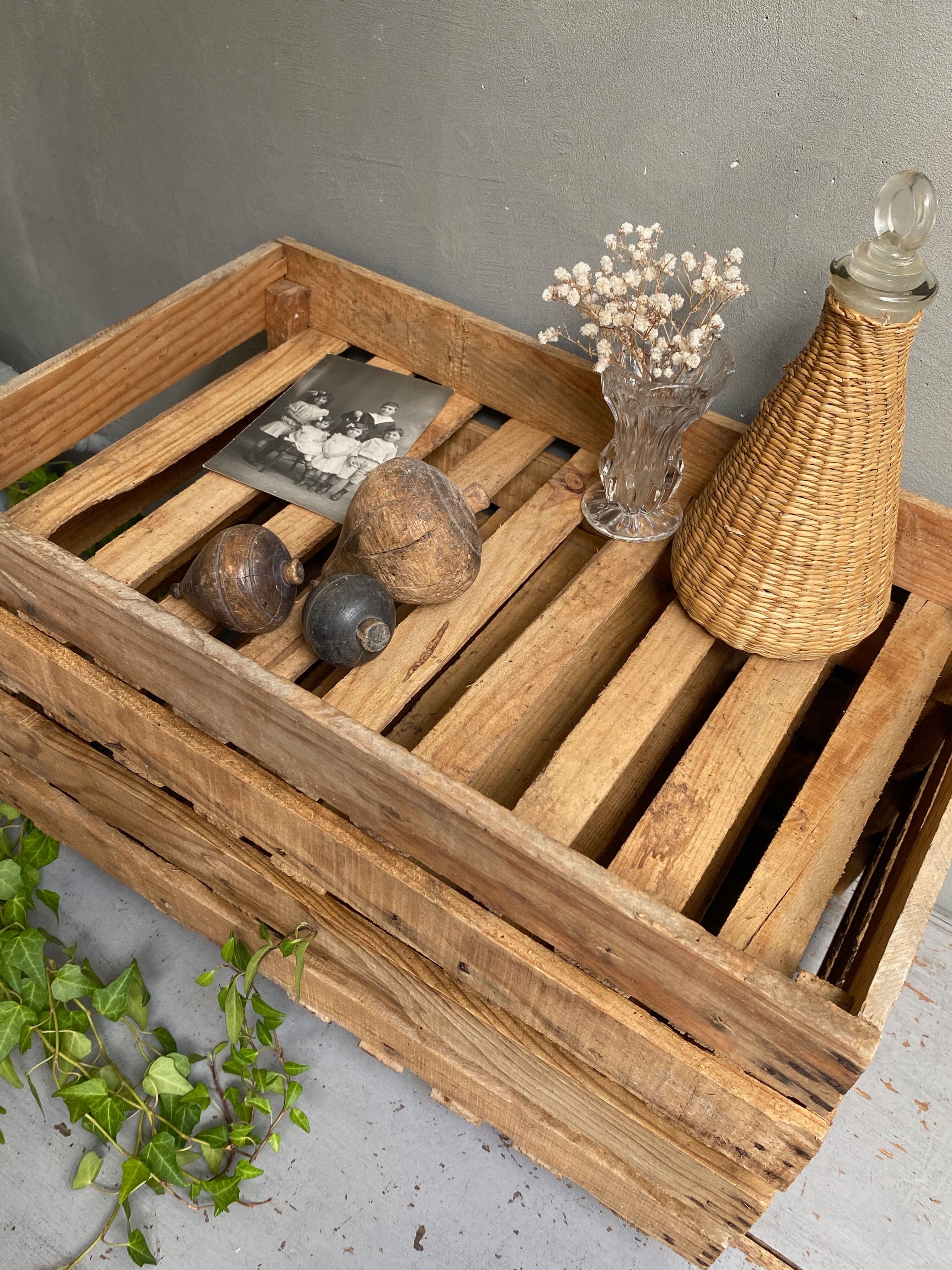 Market gardener tray