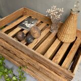 Market gardener tray