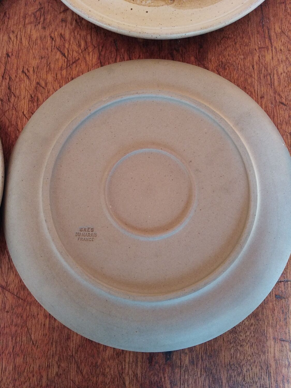 Flat plates sandstone of the marsh