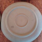 Flat plates sandstone of the marsh