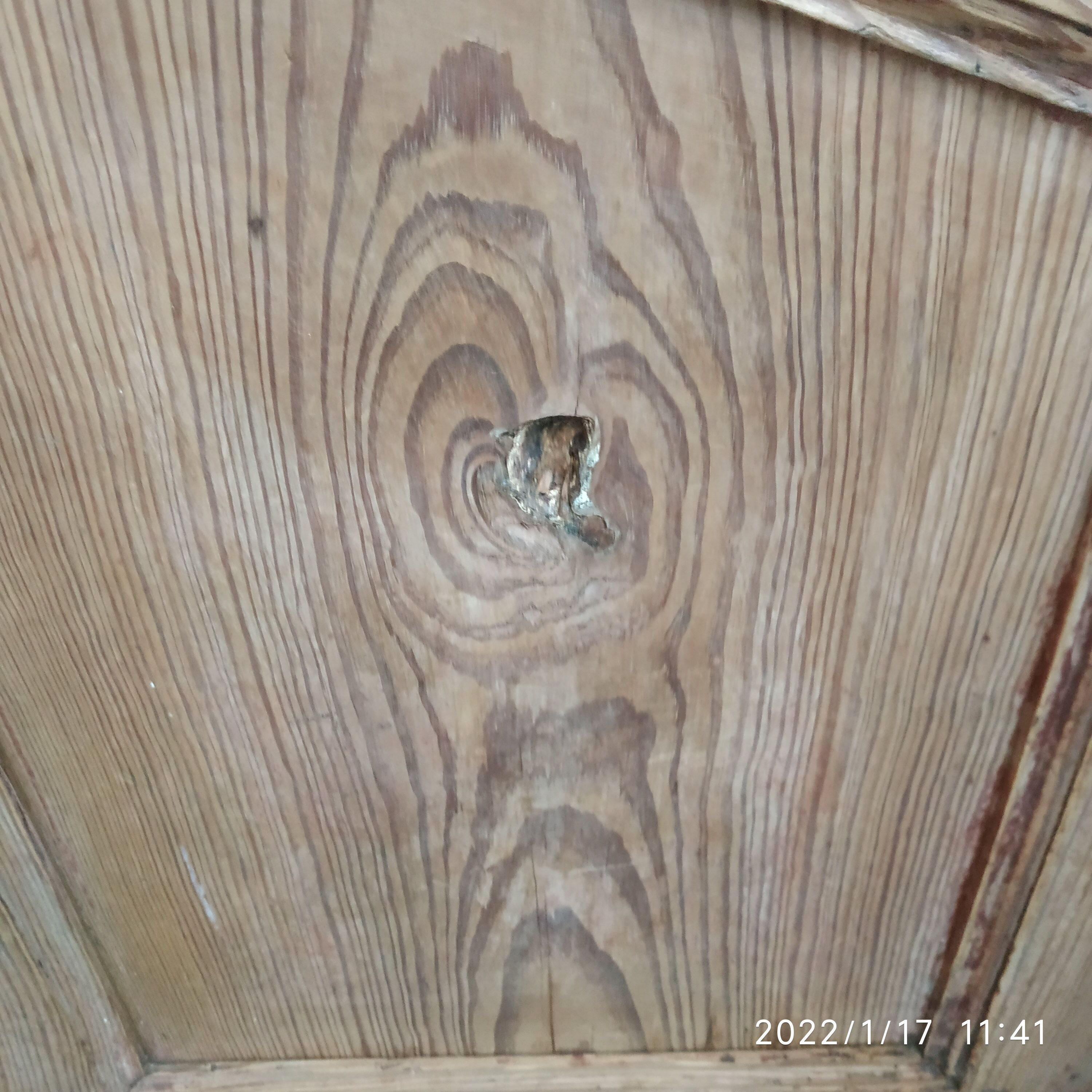 Pair of cabinet doors