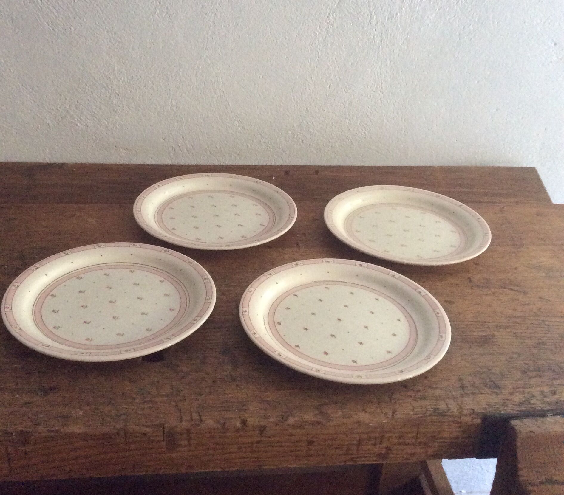 4 Assiettes plates terre de fer