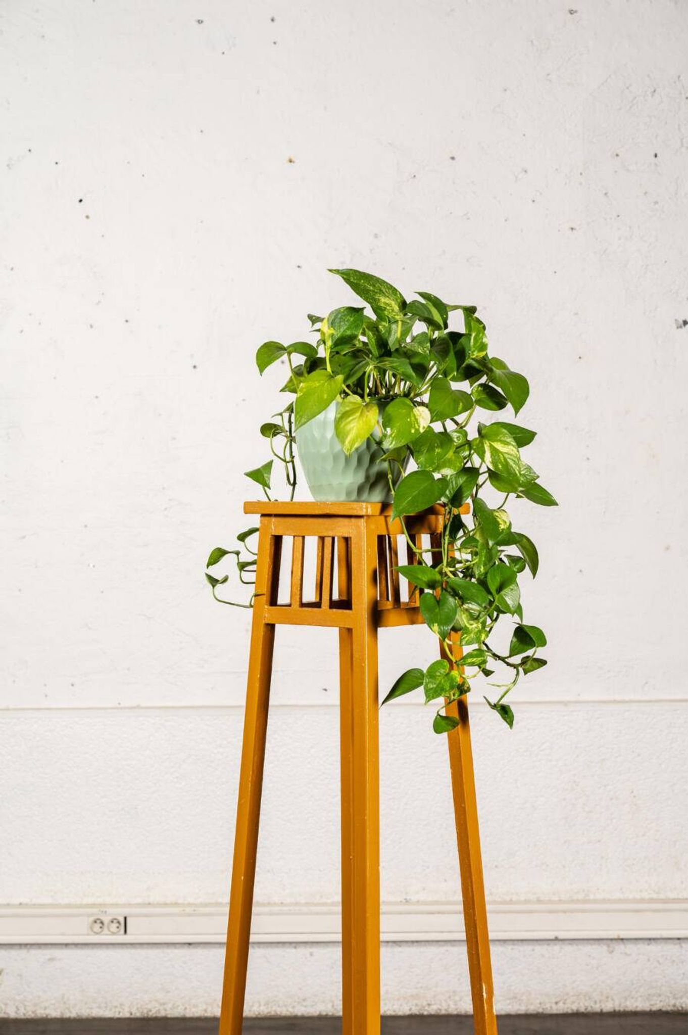Porte plante en bois peint