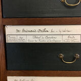 "Cartonnier" furniture from the XIXth
