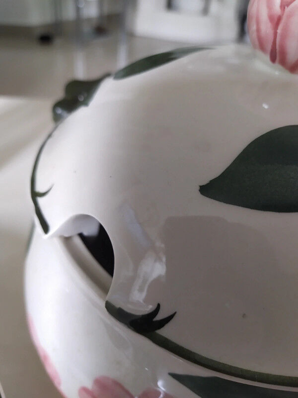 Wild Rose Villeroy & Boch soup dish and plate