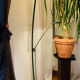 Floor lamp goupil creation made in france making halogen and e-reader (available)
