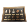 Fossils educational frame with collection of shells